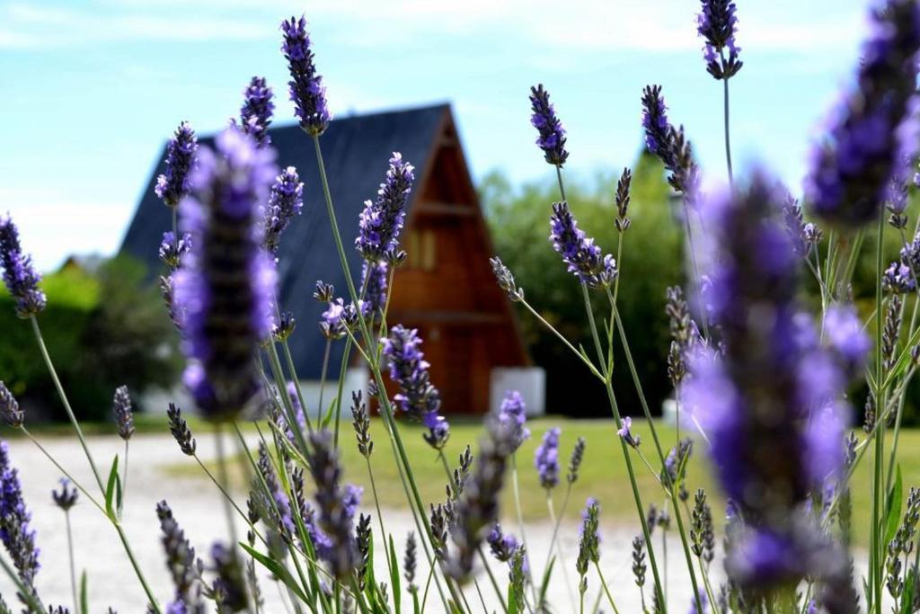 Cabanas Nevis, Excelente Ubicacion El Calafate Zimmer foto